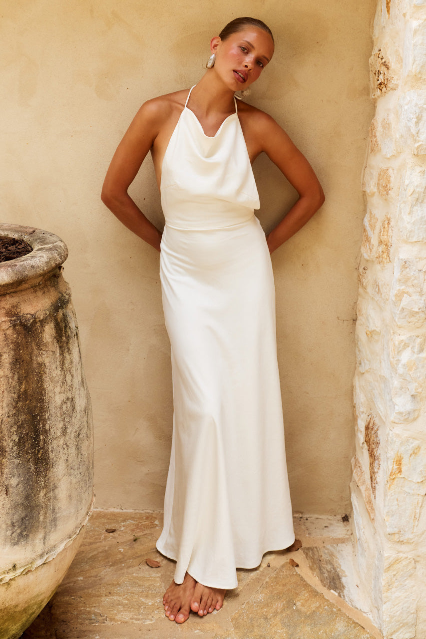 JELENA HALTER OPEN BACK MAXI DRESS
