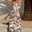 LYLA ASYMMETRICAL MAXI DRESS - RITAL SWIRL CHOC